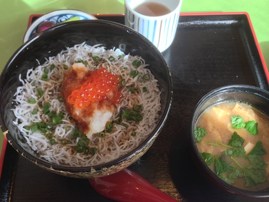湘南といえば、しらす丼