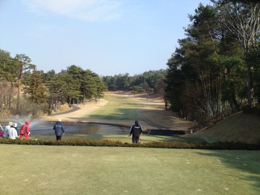 各ホール松林でセパレートした箱庭風丘陵コース