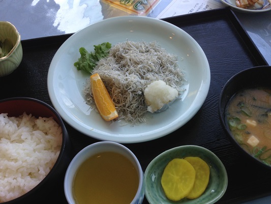 昼食は、高知名物のどろめとうつぼ