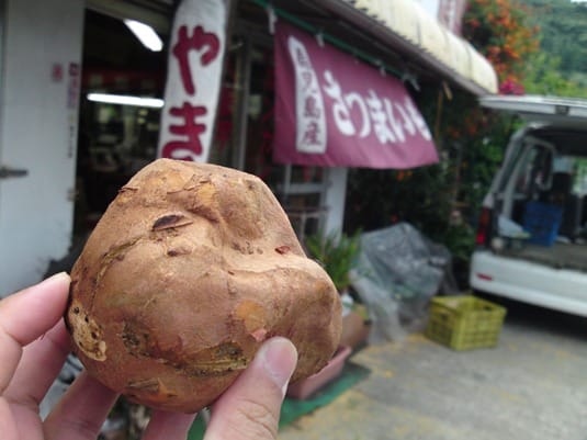 本土最南端の焼き芋屋さん