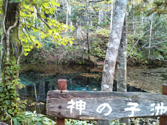 神からの贈り物「神の子池」