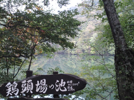 青池を見に十二湖に行ってみた