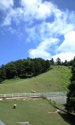 六甲牧場