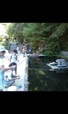 ます釣り