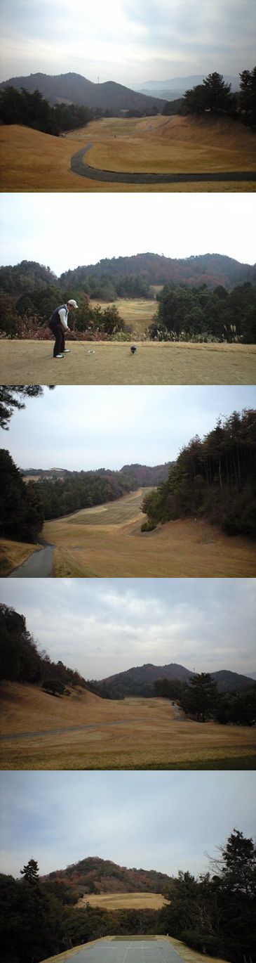 山をそのままゴルフ場にしてみました