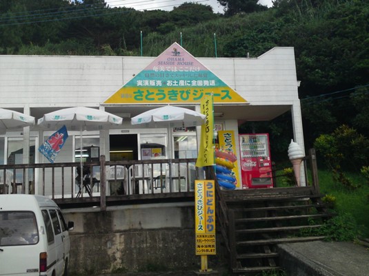 さとうきびジュースと砂糖黍丸かじり