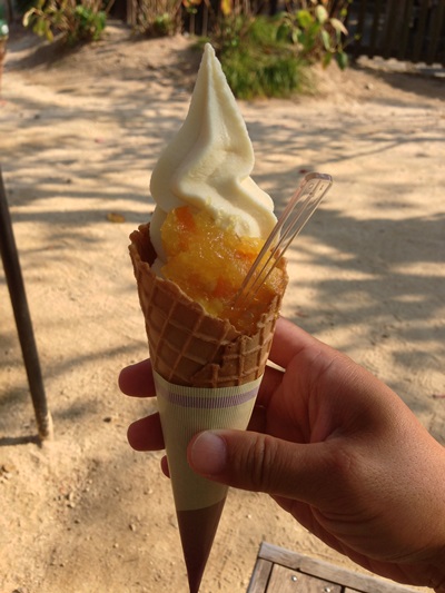松山城で伊予柑ソフト