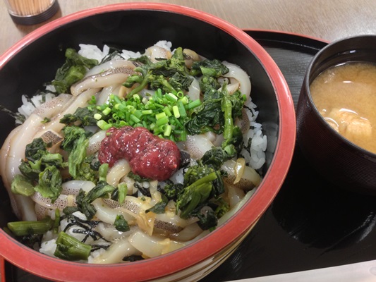 春風能登いか漬け丼