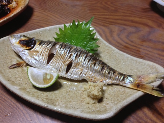 津の大門にある隠れた魚料理の名店