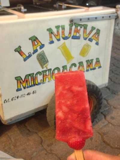 1952年創業のメキシコのアイスキャンディー屋さん