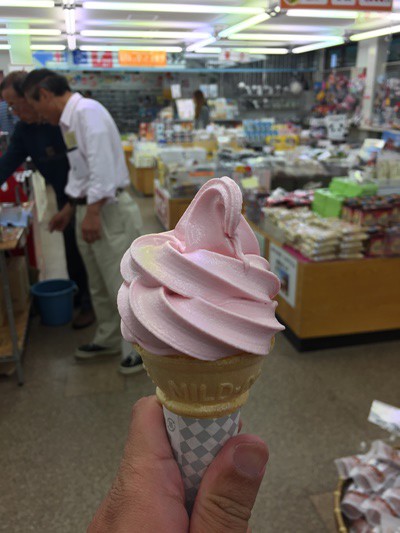紀州梅ソフトクリームとごぼう巻き