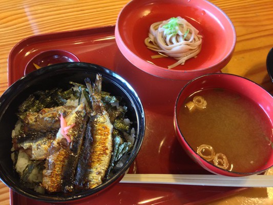 阿蘇海で獲れる金樽イワシと古代米を使用したうどん