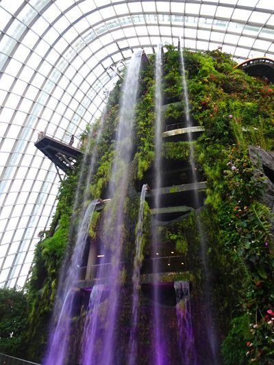 高山植物の世界を再現したドーム
