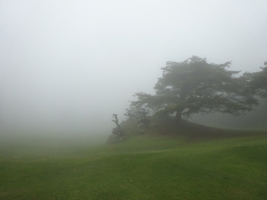 濃霧で絶景の景色が見えない小豆島シーサイドGC