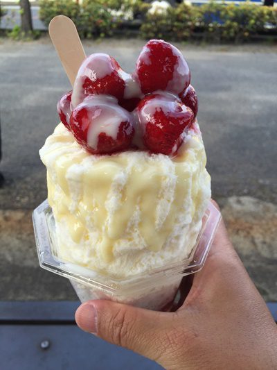 岡山のかき氷の名店で生いちごミルミルク
