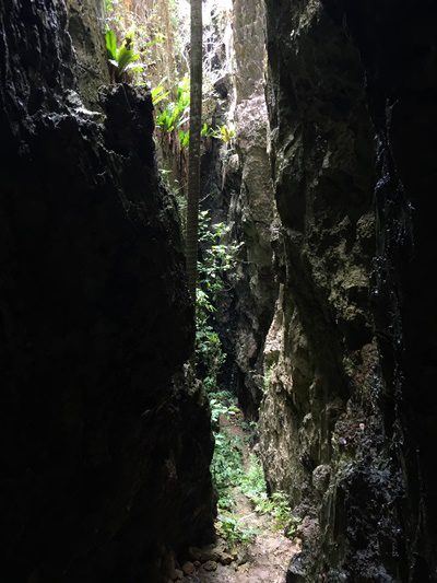毎年、北西に７ｃｍ移動している南大東島