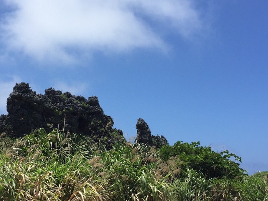 南大東島のゴジラ岩
