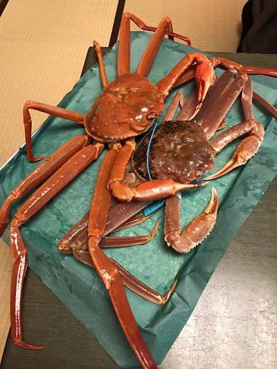 幻の蟹「黄金蟹」と加能蟹の食べ比べ