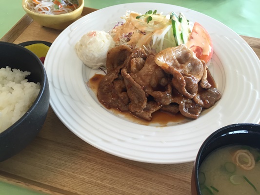 広島の牡蠣の殻粉末を食べて育った豚「瀬戸もみじ」