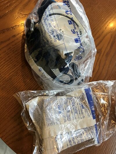 亜硫酸ガスと硫化水素に対応したガスマスク持参でバニュワンギに移動