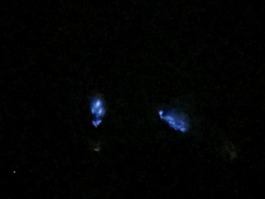 青い炎が燃える危険なイジェン火山