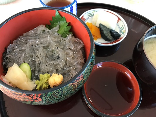 久慈浜産の生しらす丼