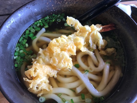 テンプラパークCCで天ぷらうどんとかき氷