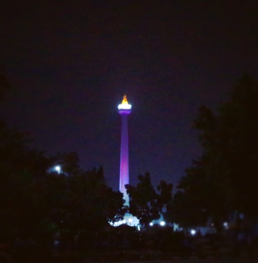 真夜中のライトアップされたモナス