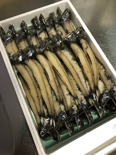 消化できない脂が美味い「はだかいわし」
