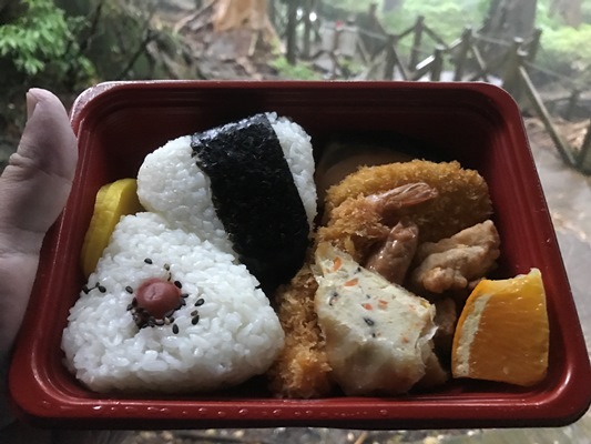 縄文杉の後に、究極のお弁当、そして下山