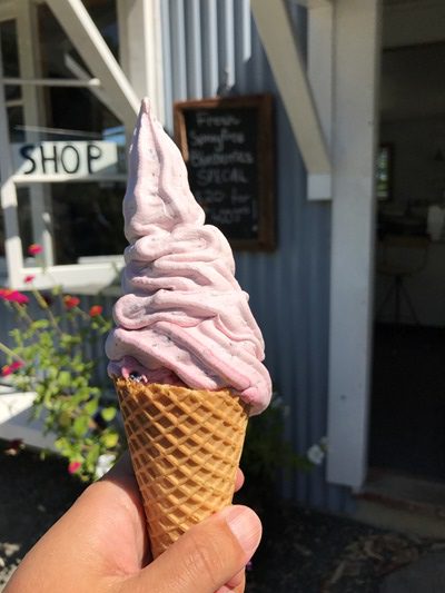 ゴルフの後はブルーベリーソフトクリーム