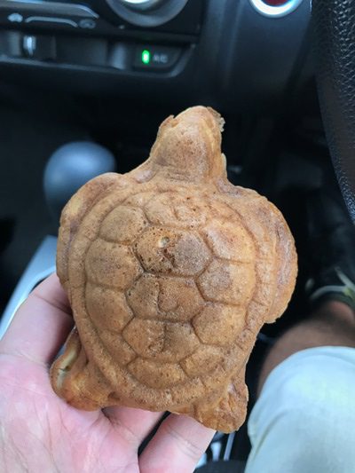かめやきと展望台巡り