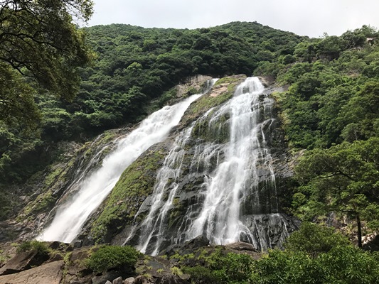 日本の滝100選に選ばれている屋久島の滝