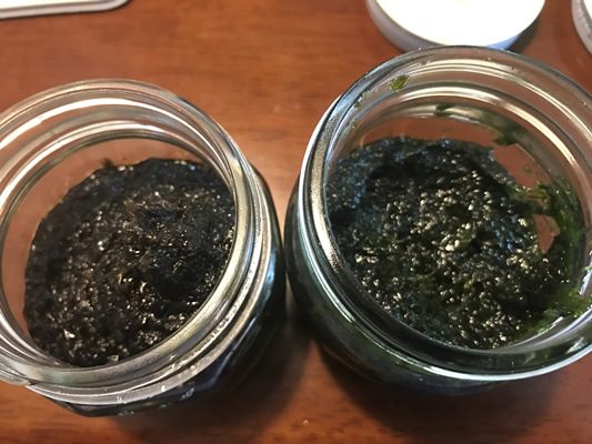 伊良湖と天草の海苔とアオサの食べ比べ