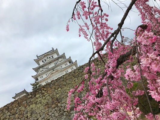 平成の修理で白さが復活した姫路城