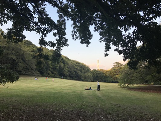閉鎖されて公園となった東京都のコース