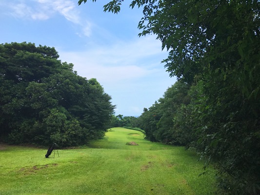 屋久島の海が見えるパー３コース
