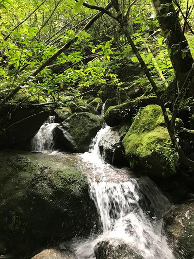 屋久島最大の渓谷