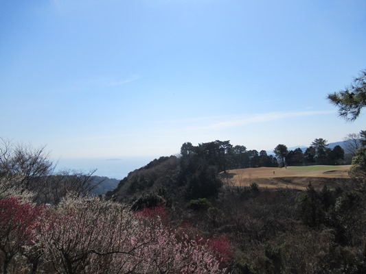 熱海市街と駿河湾を見下ろせるパブリックコース