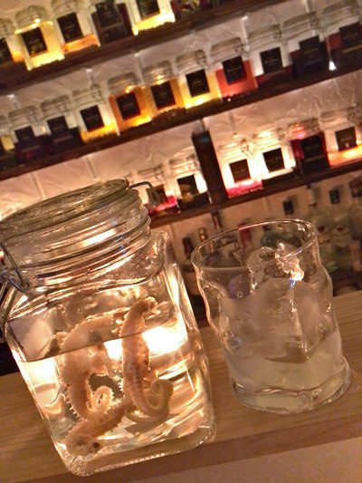 いろいろな薬草を漬けた薬酒を提供する豊橋のバー