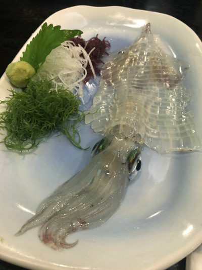 いかしゅうまい発祥の海中レストランで呼子のイカを