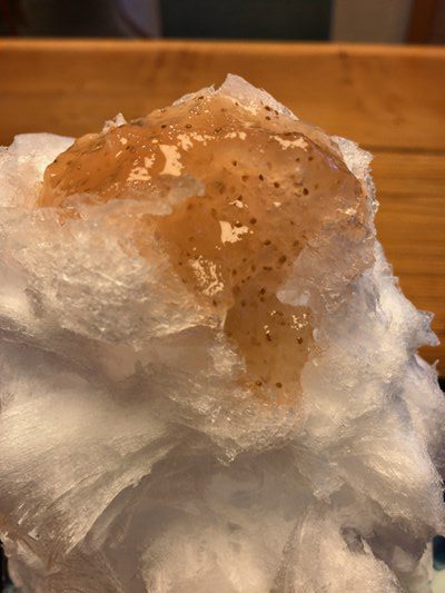 金沢のかき氷の名店で生完熟いちぢくのかき氷