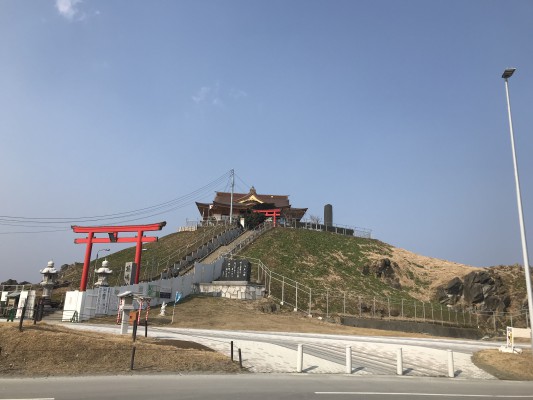 ウミネコが集まる島
