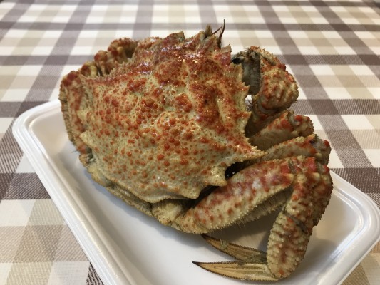 青森で花見の時期に食べるトゲクリガニ