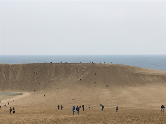 日本海沿岸に広がる広大な砂丘