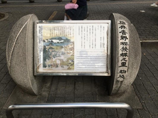 染井吉野の発祥の地で焼売を