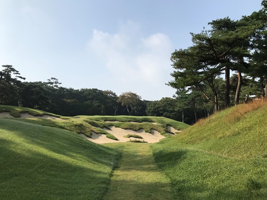 開場時の荒々しさを取り戻した日本の至宝