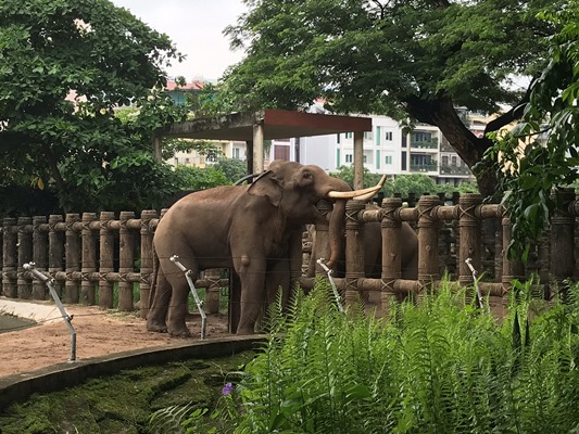 アジア最古の動物園のサイゴン動物園