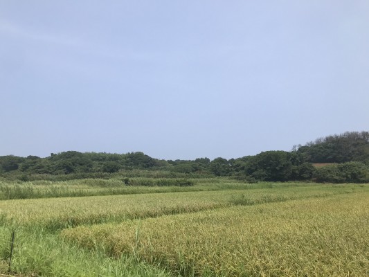 小値賀島はかつて２つに分かれた島だった
