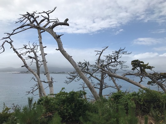 気仙沼大島の龍舞崎
